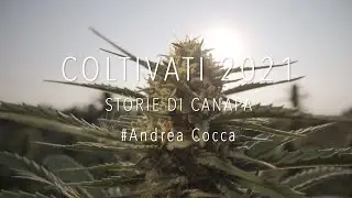 COLTIVATI 2021 - Storie di Canapa 3* Andrea Cocca