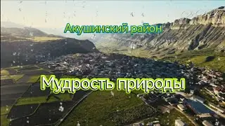 #Дагестан шокирует! Отправились в Акушинский район за приключениями)