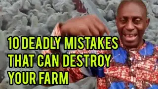10 Deadly Mistakes That Can Destroy Your Poultry and Livestock Business. No. 9 Will Surprise You!
