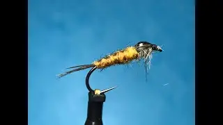Montage d'une nymphe de Mouche de Mai
