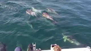 WWWC Website Video