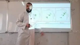 المقطع التعلمي 5 من دروس وحدة التركيب الضوئي- تفاصيل المرحلة الكيموحيوية/حلقة كالفن وبنسون 2021