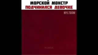 они подружились🥰 #shorts #морскоймонстр