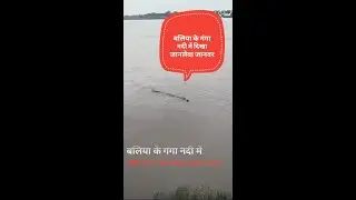 Ballia Me Badh | बलिया में बाढ़  #बाढ़ #badh #ballia #viral #shorts