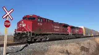 A pair of CP 135&rsquo;s from yesterday and today. 12-04-2022