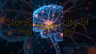 70. Storage Capacity of Human Brain? #facts #BrainFacts #Memory #Neuroscience #HumanBrain