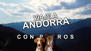 Viaje a Andorra con perros