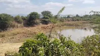 Sale agriculture land on 2 acrs 03 gunta red soil general property near Sante marali 3 km 