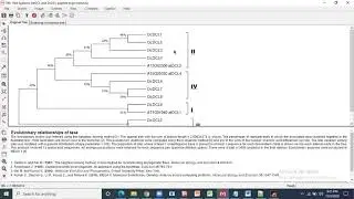 DCL gene family identification