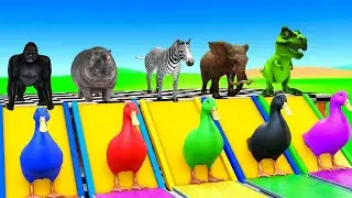 Playing as Spiderman in Massive Long Slide Game with Cow Elephant Gorilla- 3d Animal Game - Funny 3d
