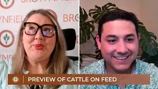 Preview of Cattle on Feed