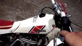 TY250