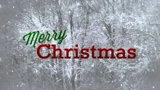 Merry Christmas Alexis