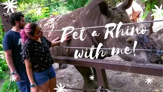 Bronx Zoo Volg: A day at the Bronx Zoo. Pet Rhinos & Feed Giraffes with me!
