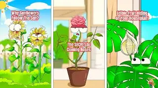 Вирусные хиты от Wacky Farmer (часть 4) | Подборка самых популярных короткометражек