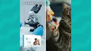 HERO DNA 寵物(貓狗)基因檢測套裝 Pet DNA Test for Cats & Dogs #寵物DNA測試 #寵物體檢 #寵物基因檢測 #dogdnatest #狗狗DNA #貓貓DNA