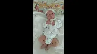 Алёшка. День второй.