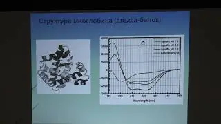 Кудряшова Е. В. - Физические методы биохимии - 4. Инфракрасная (ИК) спектроскопия биомолекул
