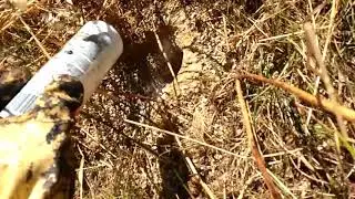 Como matar una colonia de avispas