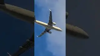 BOEING 787-9 DREAMLINER landing at  international  #viral #foryou #travel #aviation