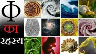 The golden ratio (beauty of life) || mystery of phi in hindi/golden ratio