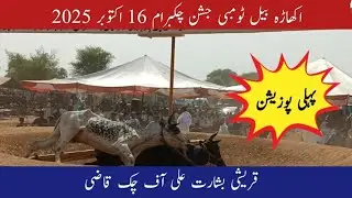 1st Position | Qurashi Bisharat Ali Of Chak Qazi | Akhara Bail Tombi Chak Barham 16 October 2025