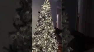 Finally got my hands on the viral flocked Christmas tree that was all over TikTok shop last