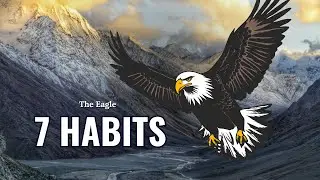 7 habits of eagle | Eagle ki 7 Anokhi Adate