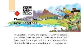 Plants and Animals Live Together|Class 3|EVS|CHAPTER 5|NEW BOOK|NCERT|FULL CHAPTER EXPLANATION