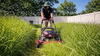 The Sidewalk was GONE! Removing Deep BLANKETS of grass from OVERGROWN edges