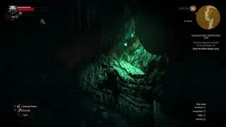 Witcher 3 - The Ghost Mode Experience