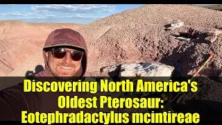 Discovering North America's Oldest Pterosaur: Eotephradactylus mcintireae