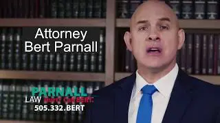 HIT AND RUN TERRIFYING- Hurt Call Bert