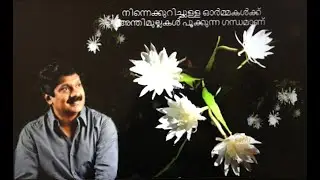 നിന്നെ കുറിച്ചുള്ള ഓർമ്മകൾക്ക് ...Ninne kurichulla.../ G venugopal/ (sathidevi)