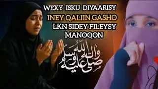 MARKEY DAREENTEY INEY NOLOSHEDA KHATAR KUSUGANTAHY WEXY BILAAWDEY INEY SAMEYSO FICILKAAN