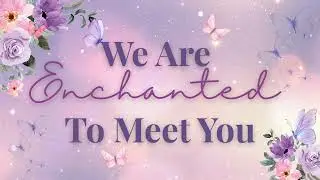 Enchanted To Meet You Taylor Swift-Inspired Floral/Butterfly Baby Shower 2-Hour Background