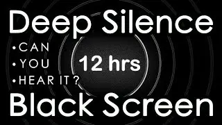 🎧 Deep Silence Black Screen | 12 HOURS of Absolute Silence !!!