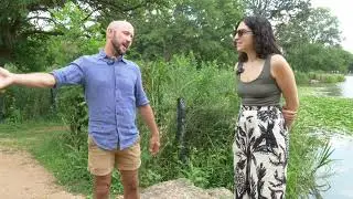 Chicago Native Plant Movement: Parkway Gardens, Pollinators & Community Change