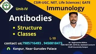 Antibodies | Structure & Classes of Antibodies | Immunology | #genesis_institute