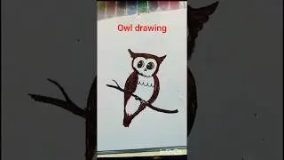 #owl drawing #easy draw 🎨✍🎭💕#art #🦉🦉🦉🦉🦉#