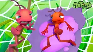Joey Gets Stuck in a Mystery Candy Wrapper! 🍬😱 | Antiks | Kids TV Shows | Cartoons For Kids