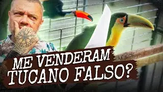 CUIDADO PARA NÃO SER ENGANADO! | A CASA DOS BICHOS