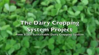 The Dairy Cropping System Project