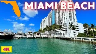 Miami Beach Walking Tour - Sunset Harbour (A Hidden Corner of the City)