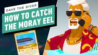 Dave the Diver Guide: How to Catch the Moray Eel