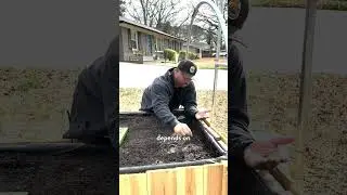 Here&rsquo;s how to plant beets in a raised bed garden. #urbangardening