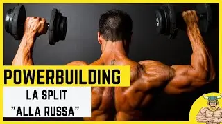 Allenamento powerbuilding - il modello multifrequenza 