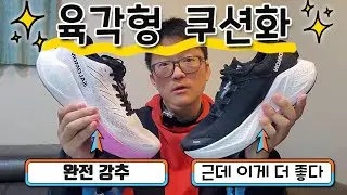 쿠션화 서열정리 다시 합니다