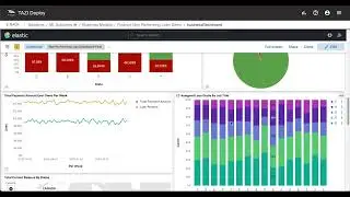 TAZI Non Performing Loan (NPL) Solution Demo
