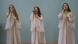 78358 Коллектив 